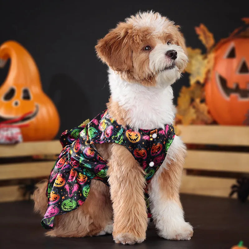 Halloween dog costume with angel wings in bright pumpkin colour option