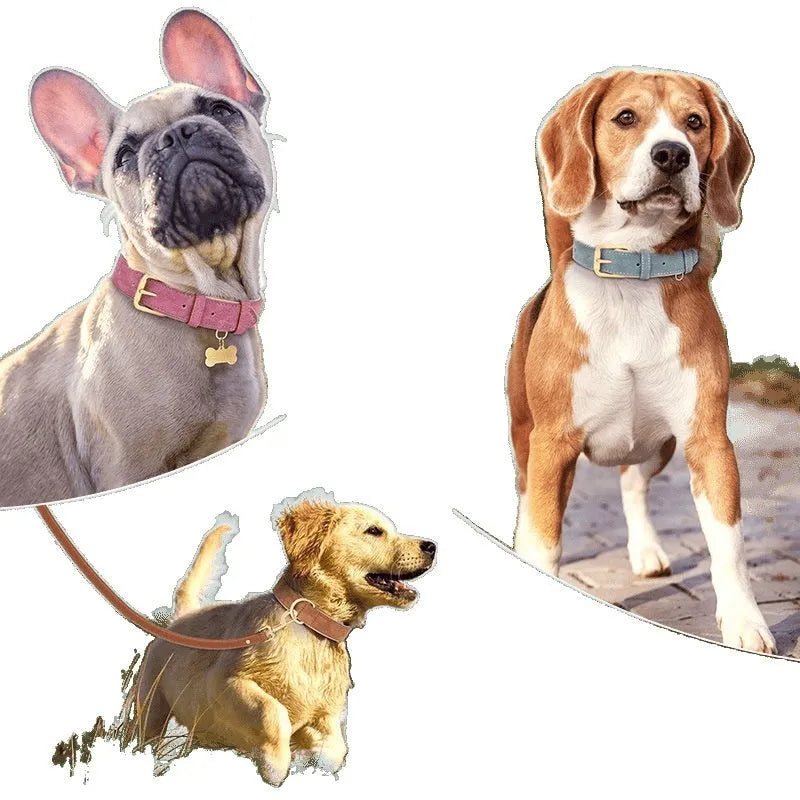 Double-layer leather dog collar and lead set in rose red, brown, or blue colours