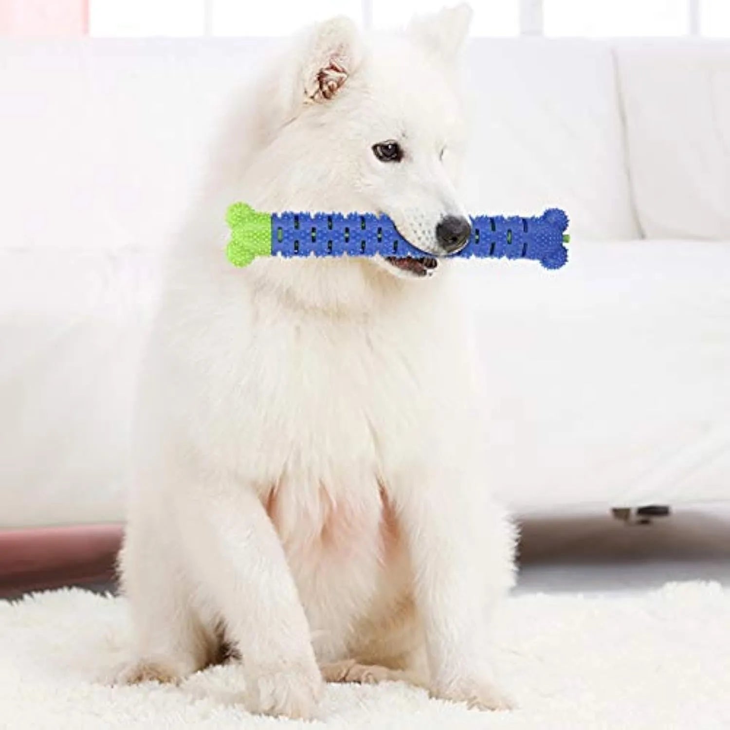 Blue green dog dental chew toy with serrated brush head design for tooth cleaning, 25cm length