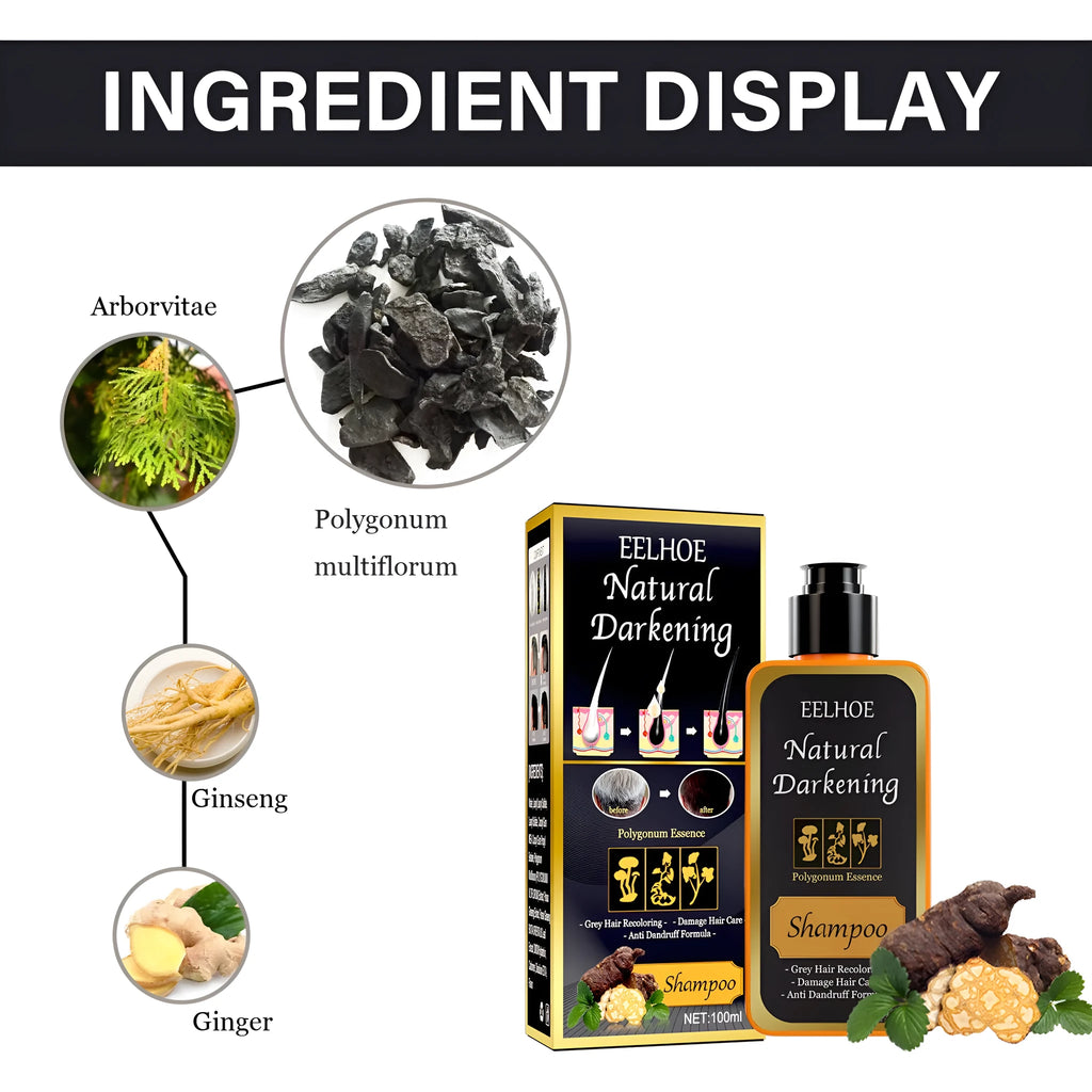 Boxed 100ml bottle of Polygonum Multiflorum Shampoo for black hair colour restoration and scalp care.