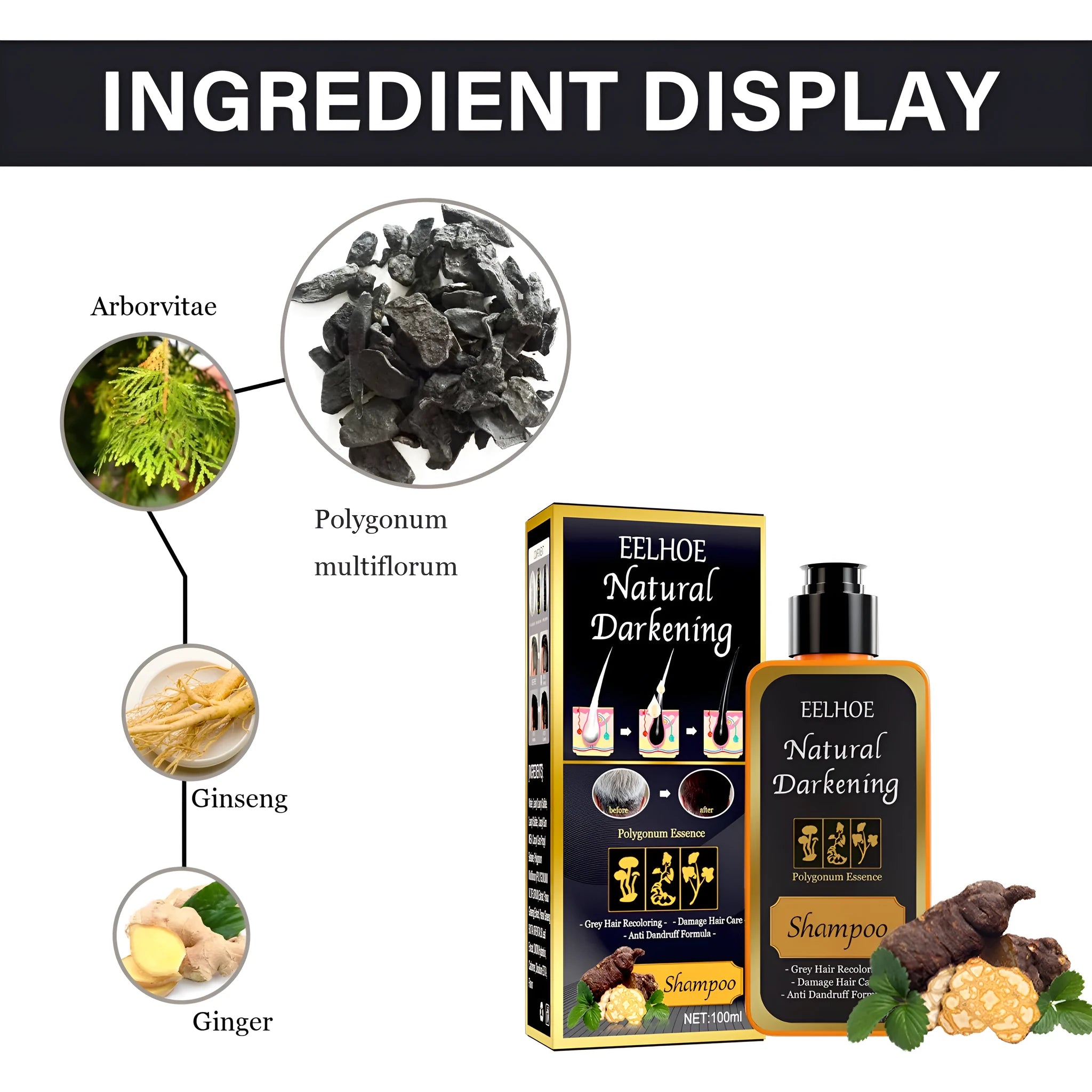 Boxed 100ml bottle of Polygonum Multiflorum Shampoo for black hair colour restoration and scalp care.