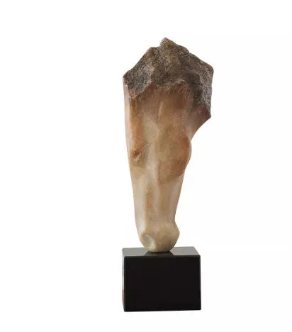 Abstract French retro style horse head sculpture with a carved surface, a 50cm tall desktop ornament.