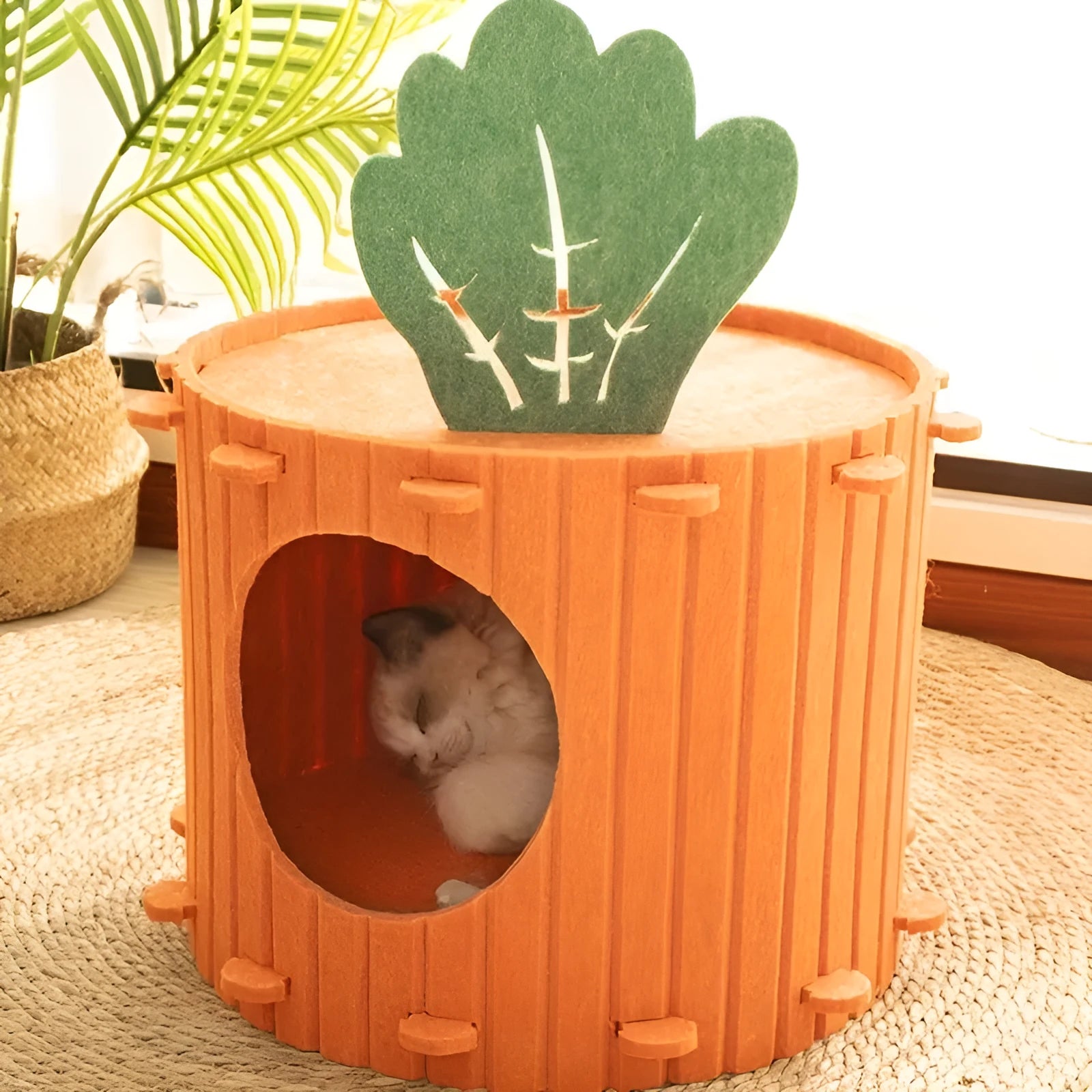 Carrot-themed cat nest with felt tunnel, semi-enclosed cattery in two size options.