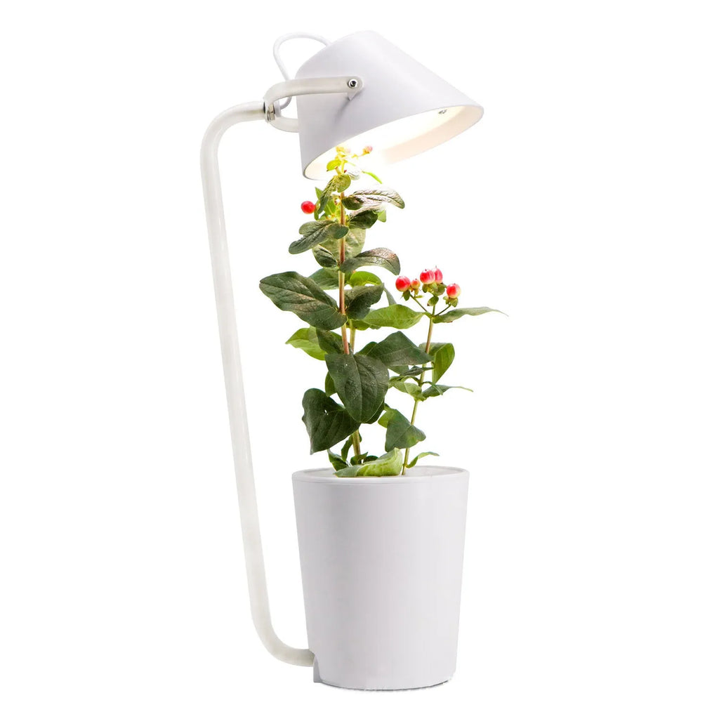 White plastic desktop hydroponic growing system for soilless indoor plant cultivation