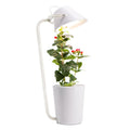 White plastic desktop hydroponic growing system for soilless indoor plant cultivation