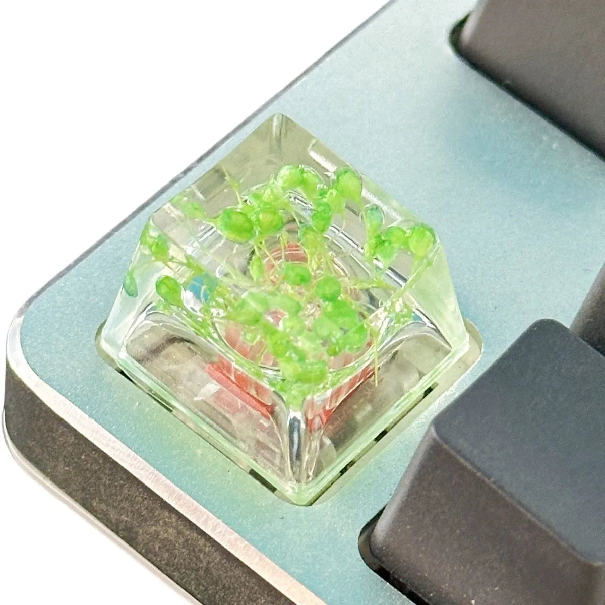 Single resin mechanical keyboard keycap with high transparency and embedded starry sky design, shown in violet colour.