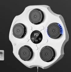 Wall-mounted boxing target with Bluetooth music recognition system and included gloves