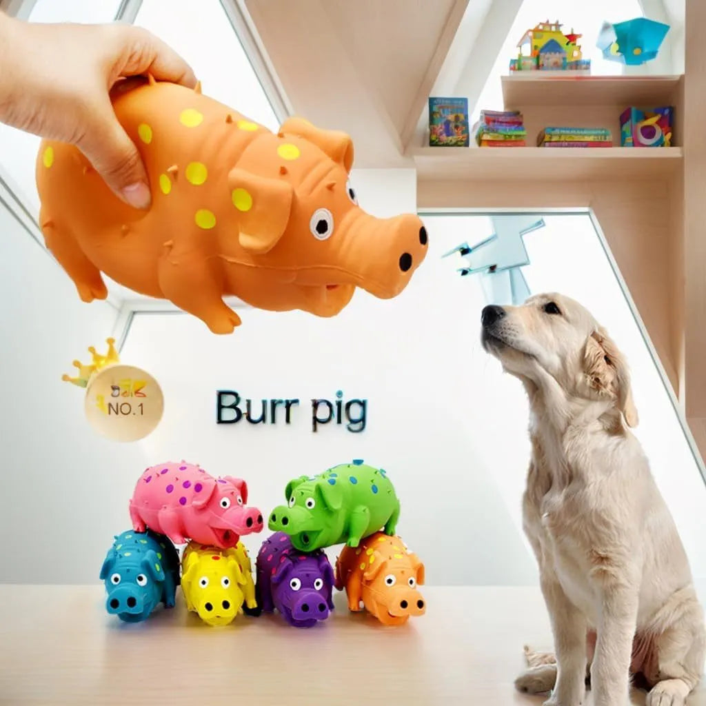 Latex pig-shaped dog chew toy with squeaker for teeth cleaning in assorted colours