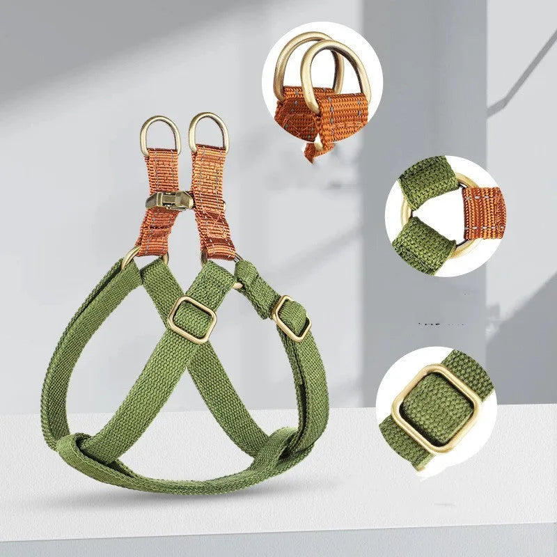 Brown vest style dog leash with cotton belt and alloy fastener on small dog