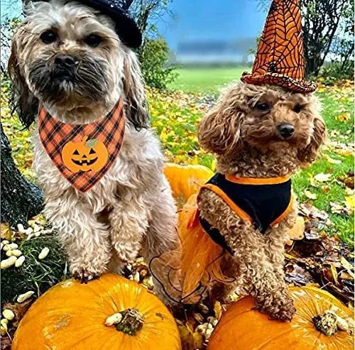 Orange plaid Halloween dog bandana with pumpkin and white skeleton appliques on polyester fabric