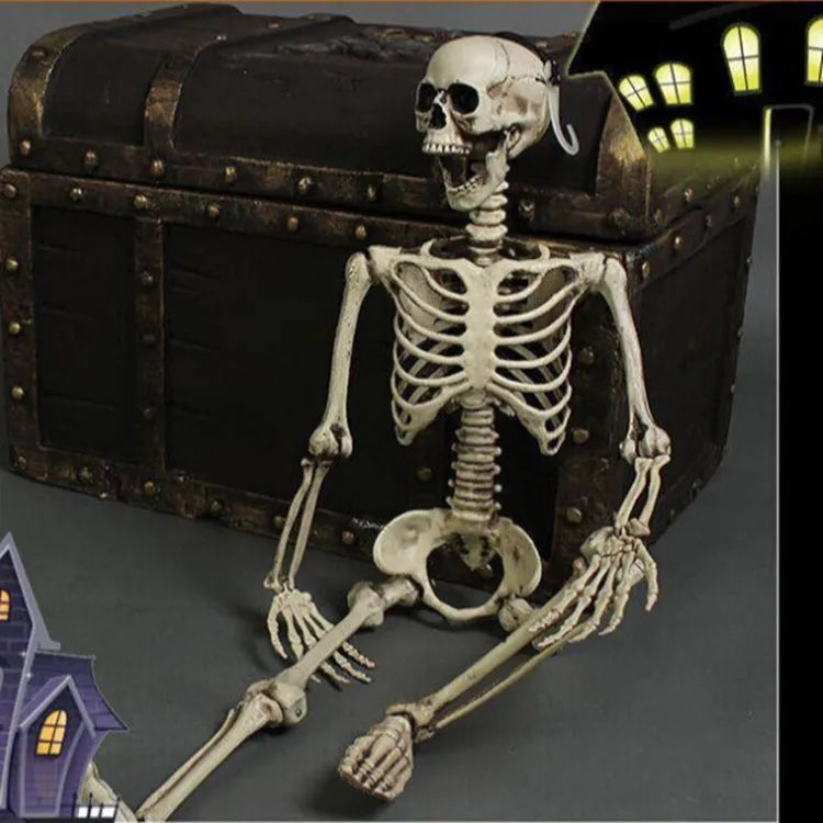 Full-size 170cm tall plastic skeleton prop for Halloween and event decoration.