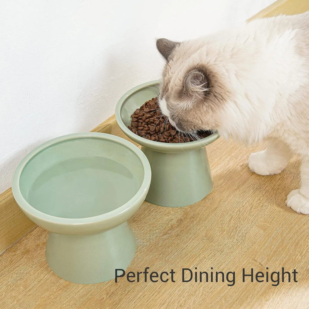Extra wide elevated ceramic cat food bowl in blue green pink or white with shallow 16cm dish for whisker fatigue relief