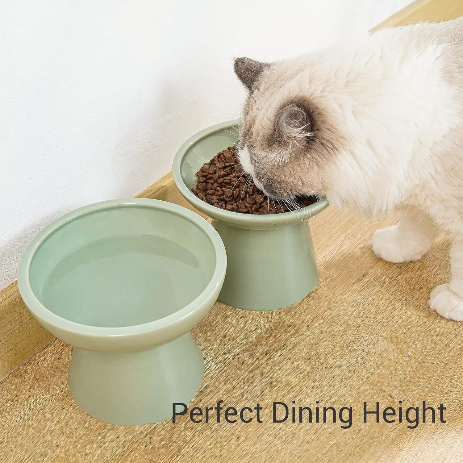 Extra wide elevated ceramic cat food bowl in blue green pink or white with shallow 16cm dish for whisker fatigue relief