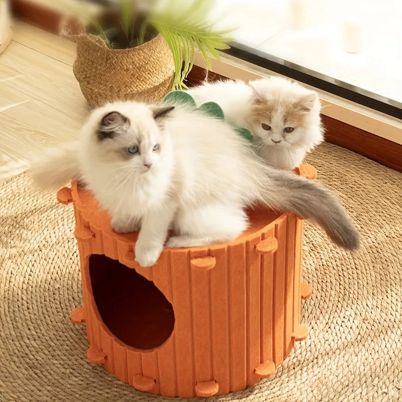 Carrot-themed cat nest with felt tunnel, semi-enclosed cattery in two size options.