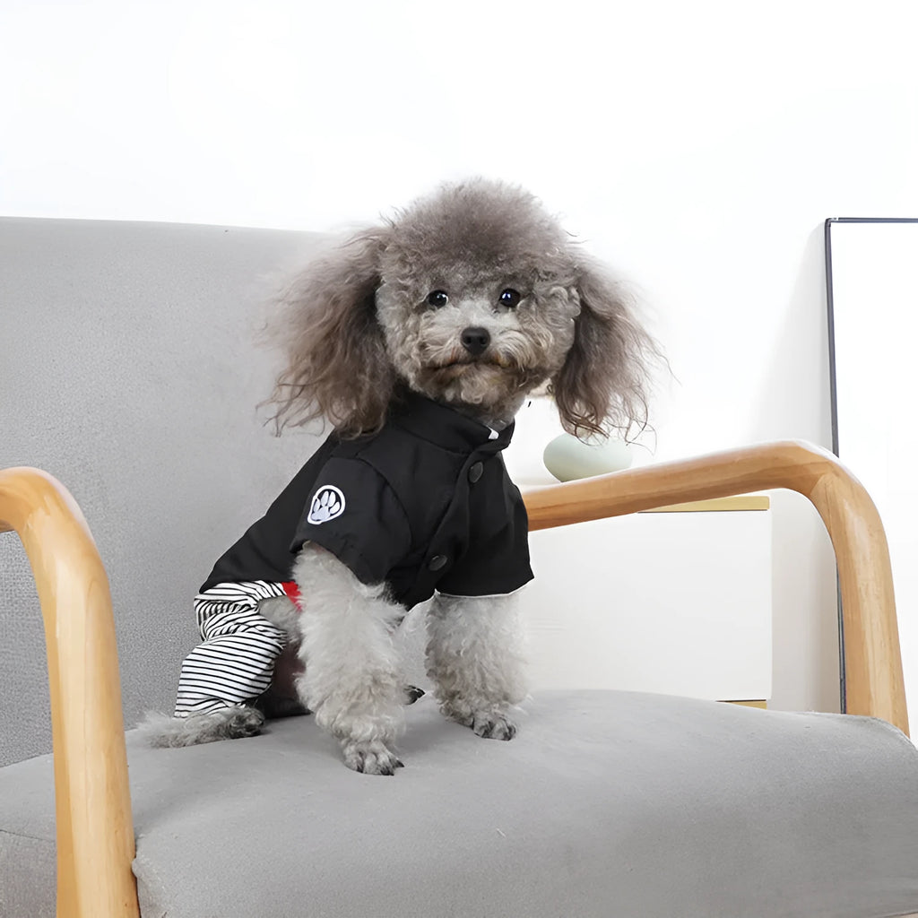 Thin cotton dog clothes for poodles in four-legged pants or skirt styles