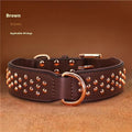 Leather dog collar with metal anti-bite rivets in black, chocolate, or pink colour options.