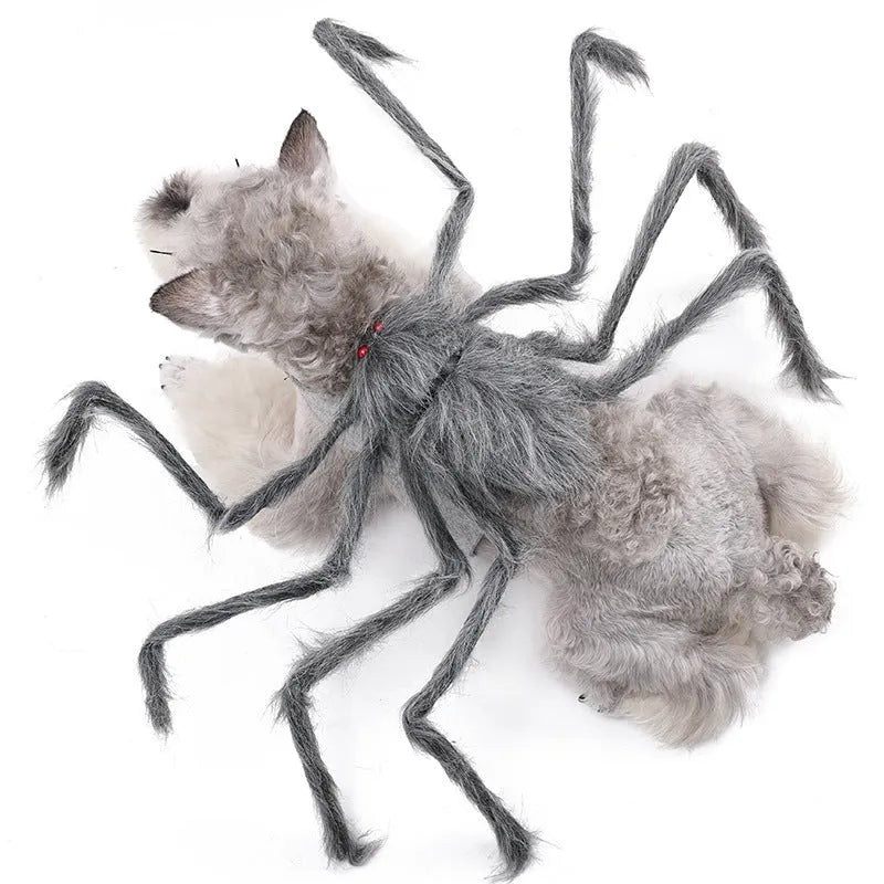 Halloween spider costume for pets in polyester with multiple colour options