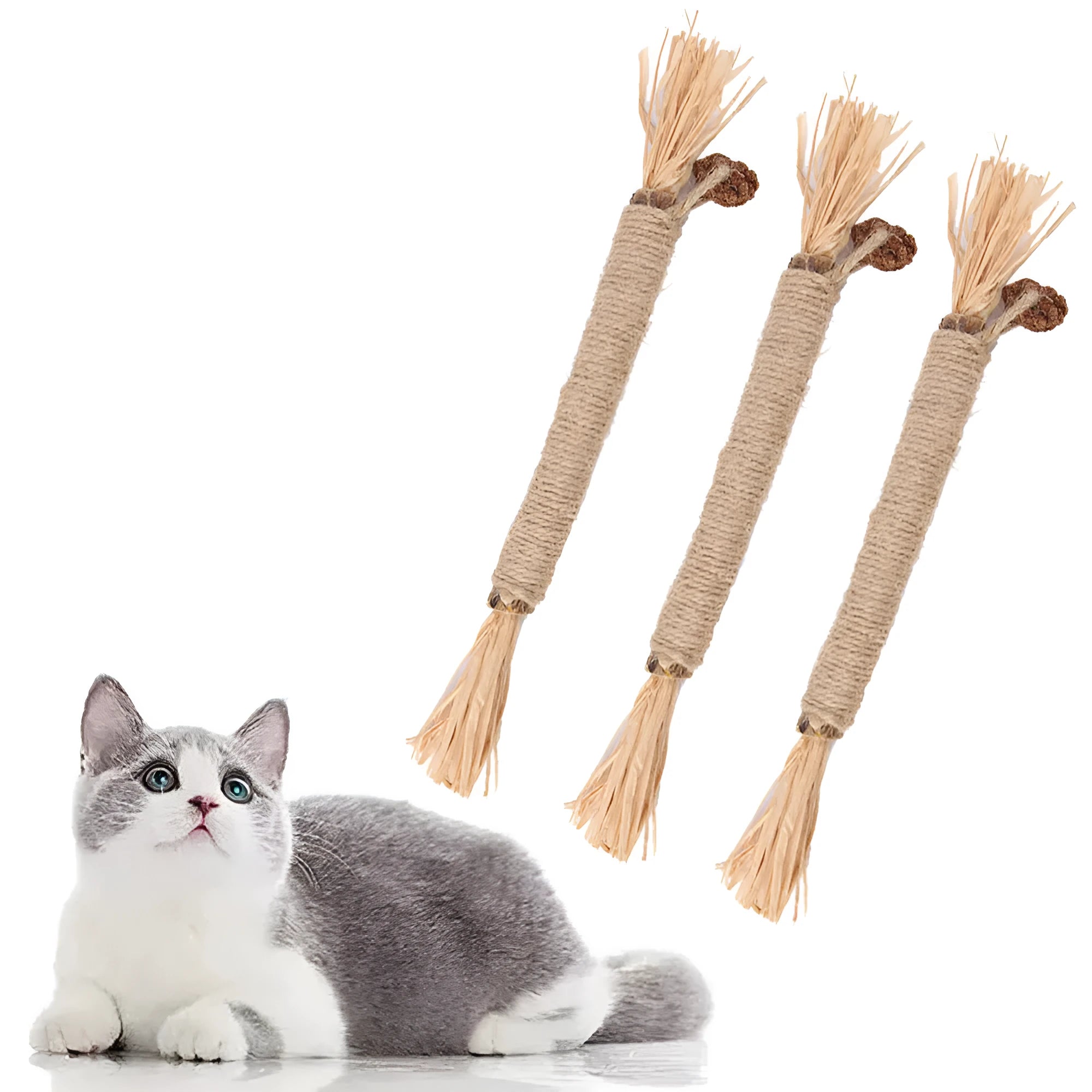 Natural silvervine cat chew sticks 3 pack for dental care and stress relief with thick or fine diameter options