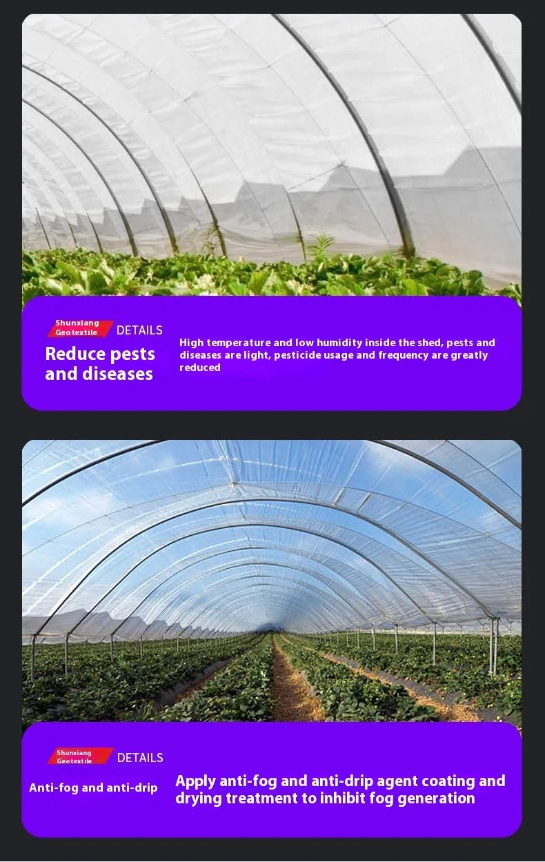 Large roll of clear plastic greenhouse film for vegetable shed insulation.