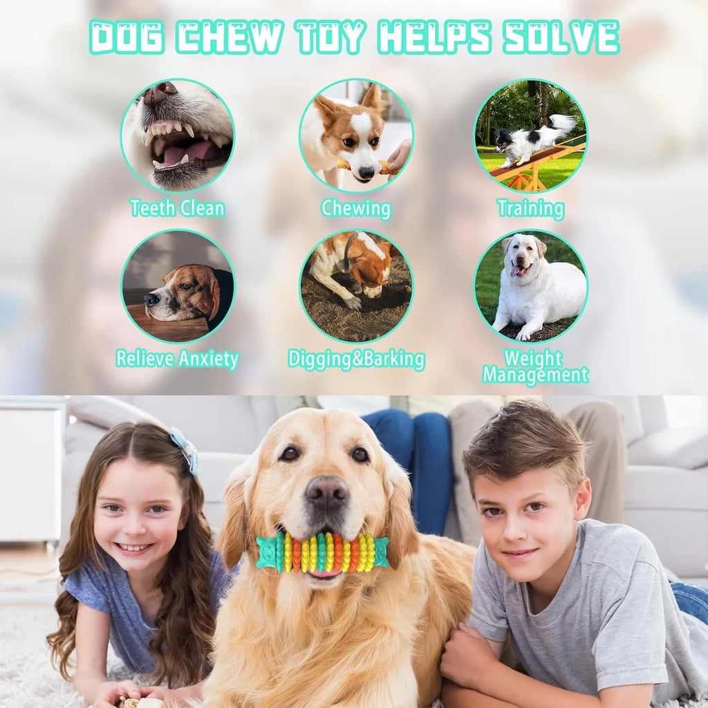 Blue green pink caterpillar-shaped natural rubber dog chew toy for aggressive chewers on a plain background.