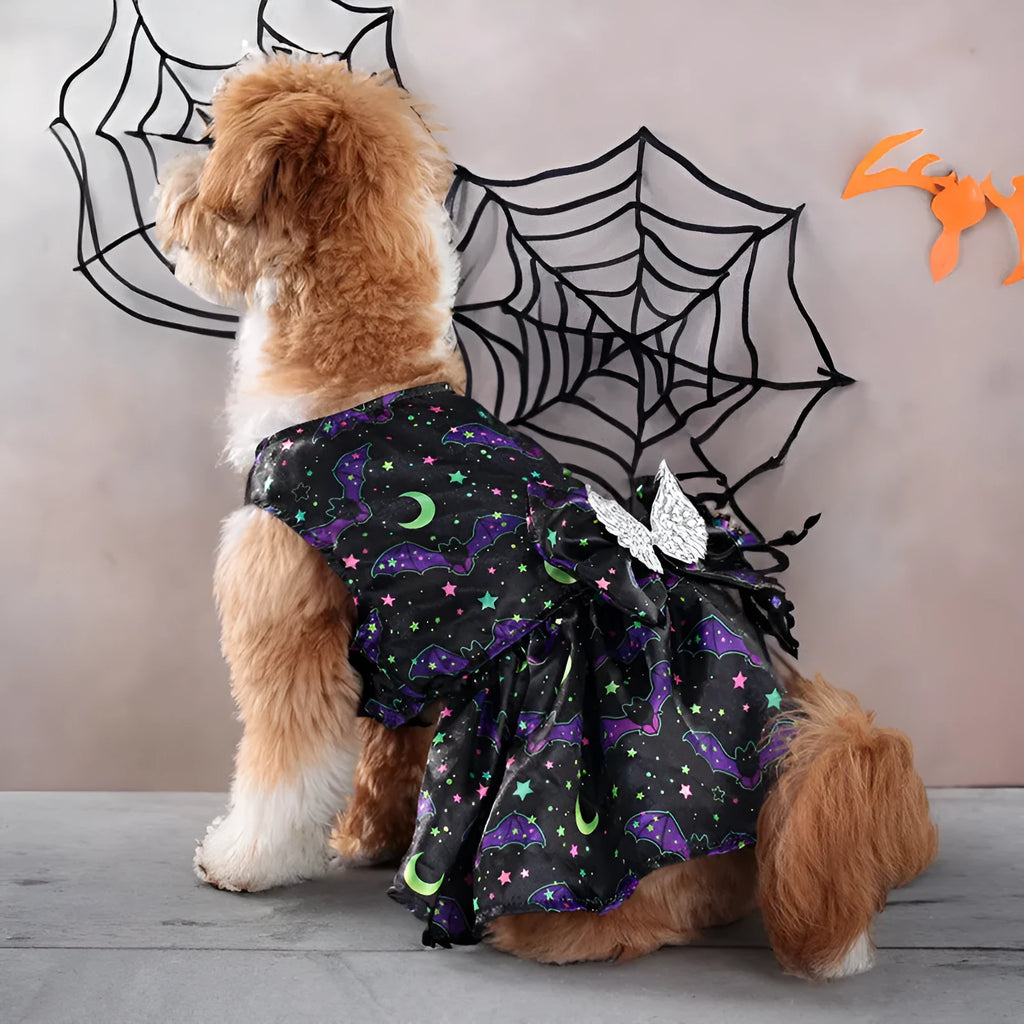 Halloween dog costume with angel wings in bright pumpkin colour option