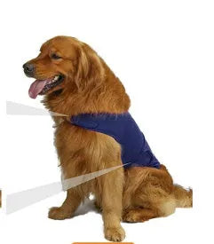 Brown dog anxiety relief tank top jacket on canine model showing casual pet clothing design