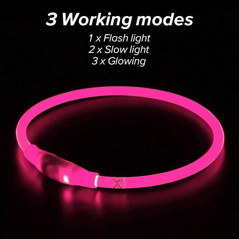 USB rechargeable LED dog collar glowing in dark with adjustable 70cm length