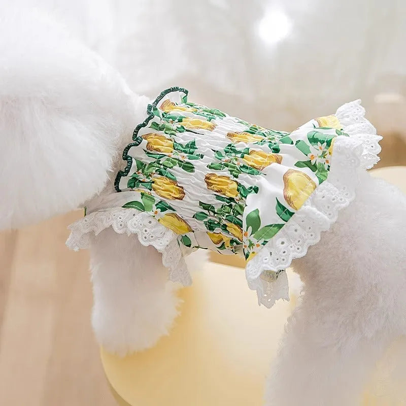 Rock yellow lemon polyester dog skirt with princess style and strap design for small dogs