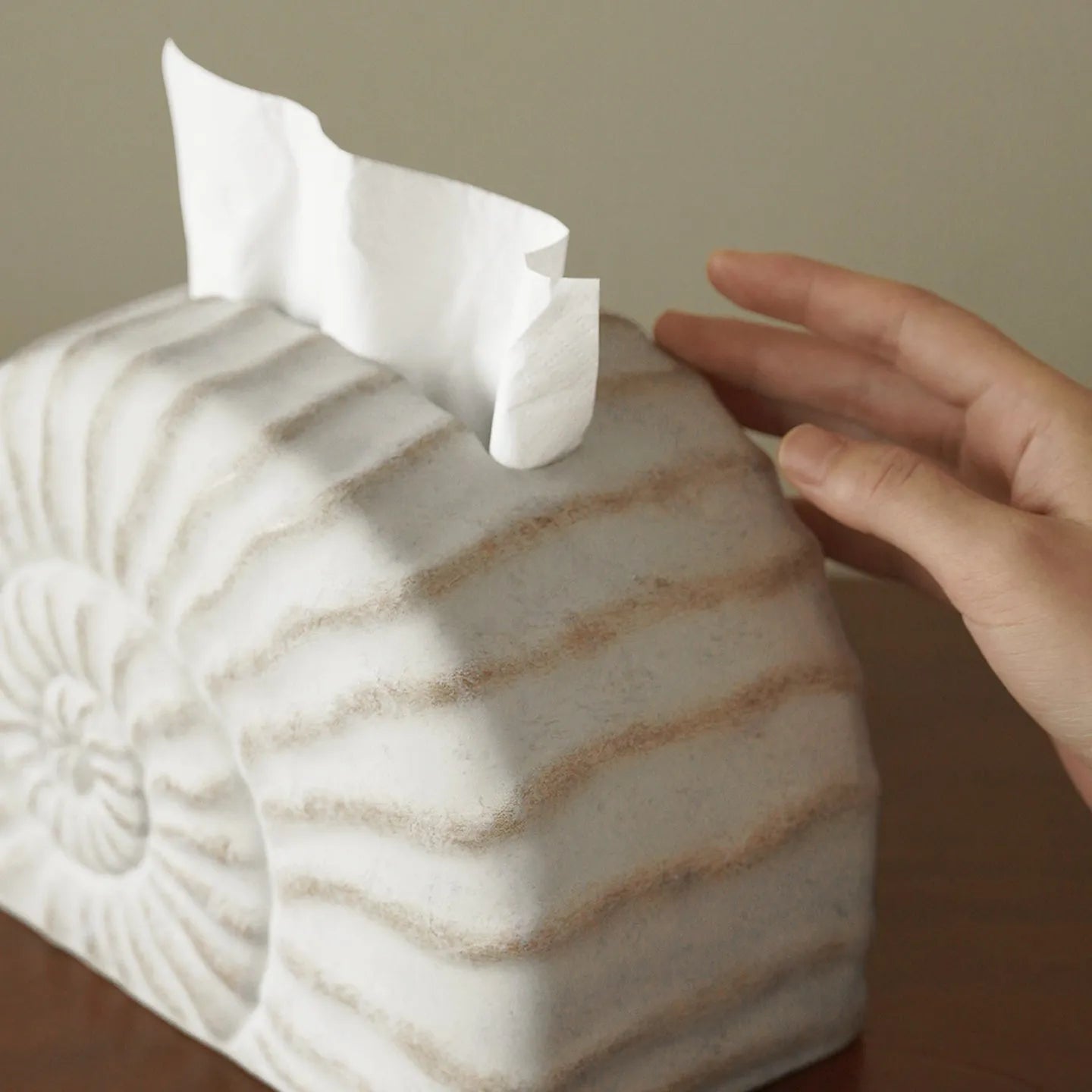 Resin tissue box decoration in conch ramble colour with modern minimalist seashell design