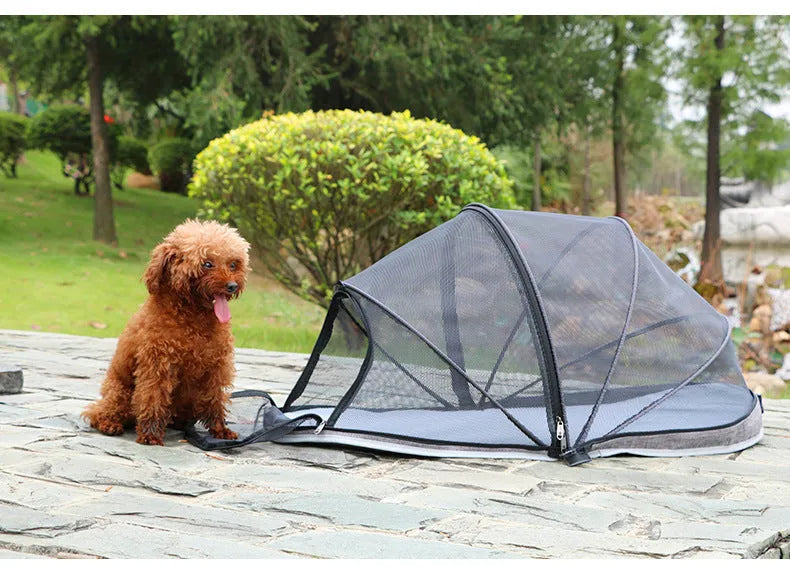 Portable folding cat tent with half mesh design in blue colour