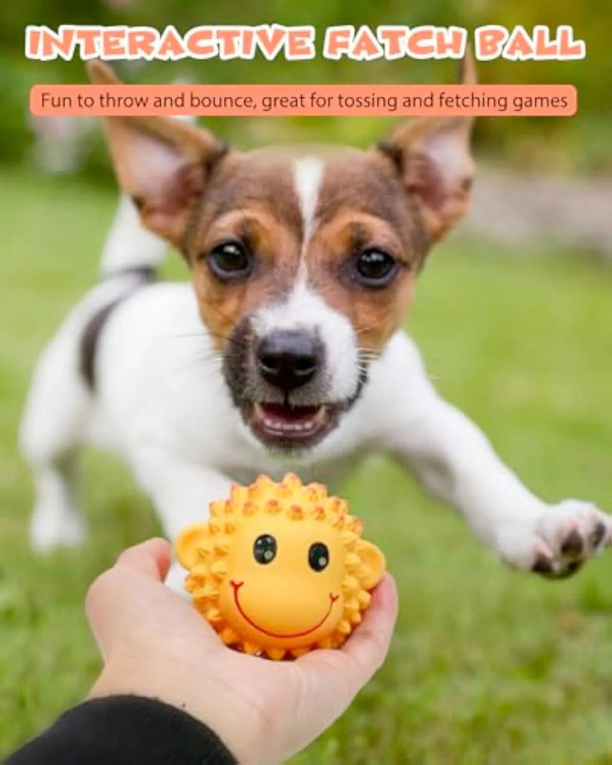 Orange and yellow latex dog toys with spiky surfaces and animal designs