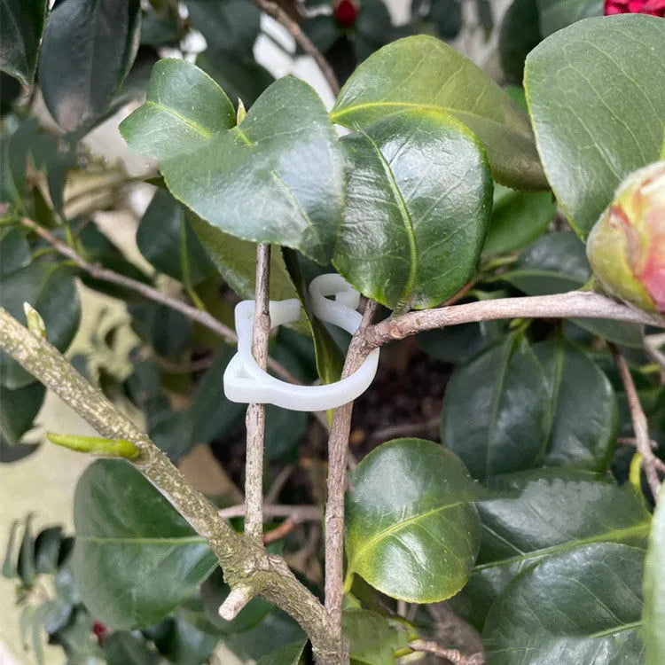 Cat-shaped plastic plant clip for gardening in four colour options