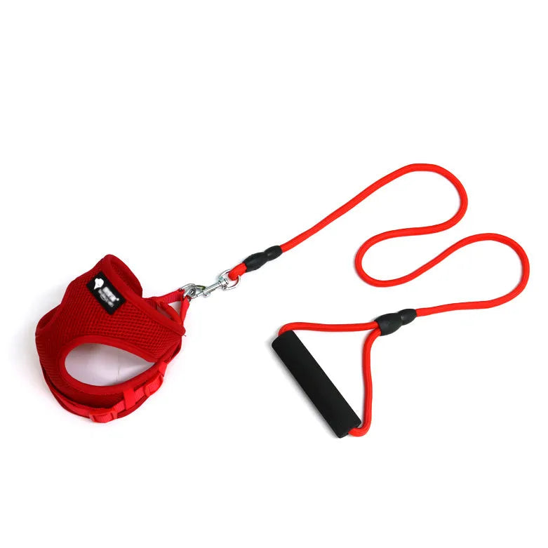 Small dog leash and collar set with adjustable collar and foam handle in blue, pink, red, or yellow colours
