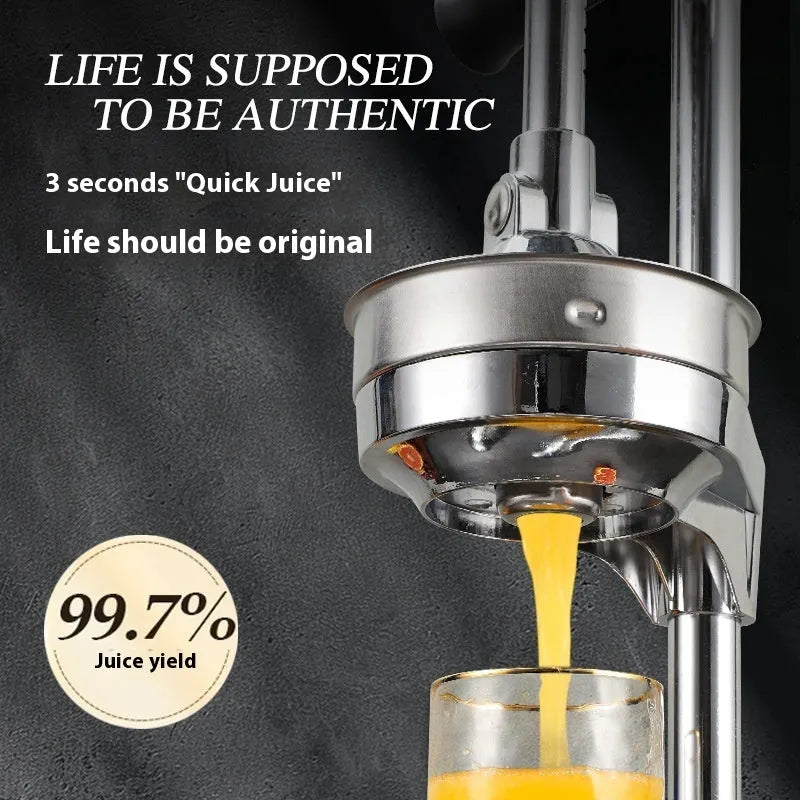 Vertical stainless steel manual juicer on a countertop, shown in silver finish with a pointed head style.