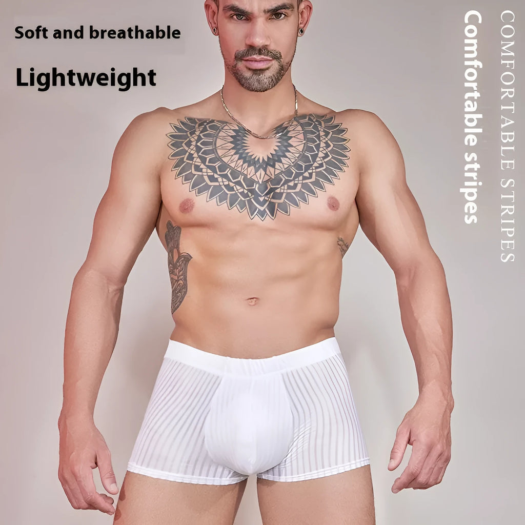 Men's striped transparent nylon underwear in black, white, and dark grey colours