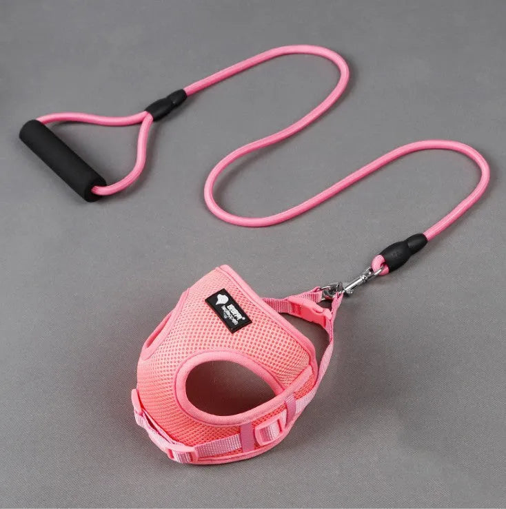 Small dog leash and collar set with adjustable collar and foam handle in blue, pink, red, or yellow colours