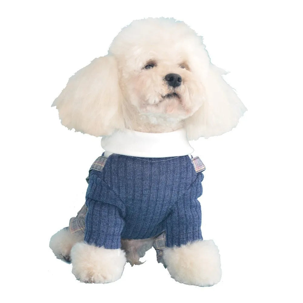 Orange and dark blue cotton dog shirt for small dogs, shown in sizes S to 2XL.