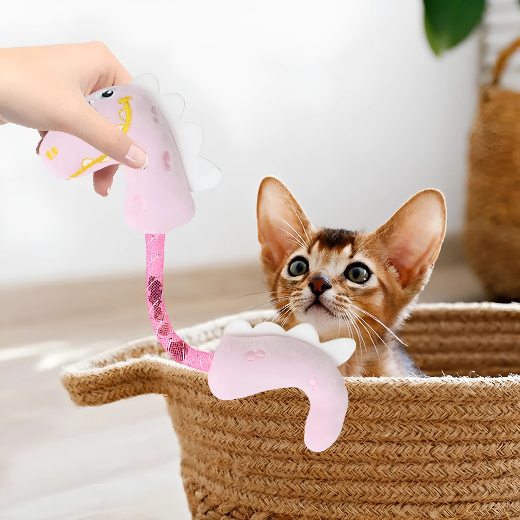 Bundle of four cat toys including a plush fish, rope, springs, and kicker toys in pink, purple, or yellow.