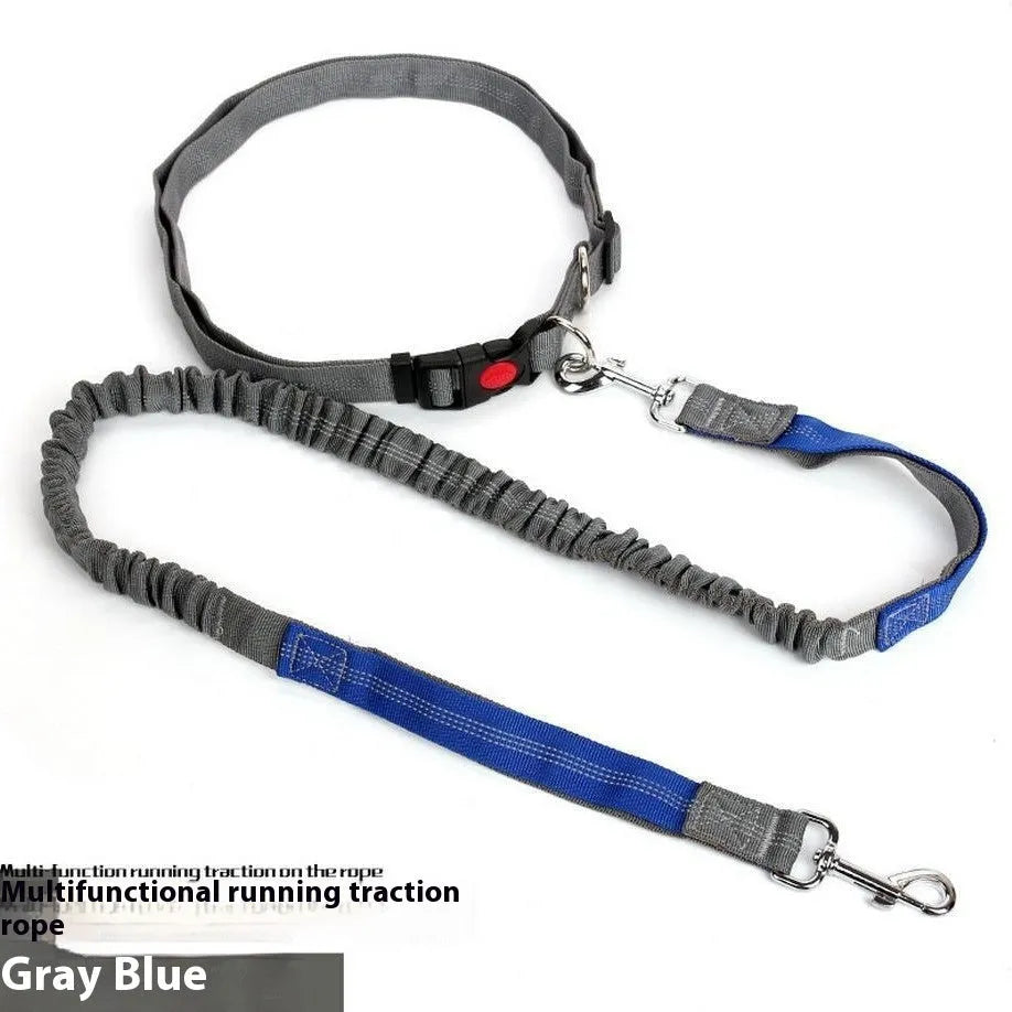 Grey and green two-tone reflective elastic dog leash held in a hand, showing its 2.5cm width.