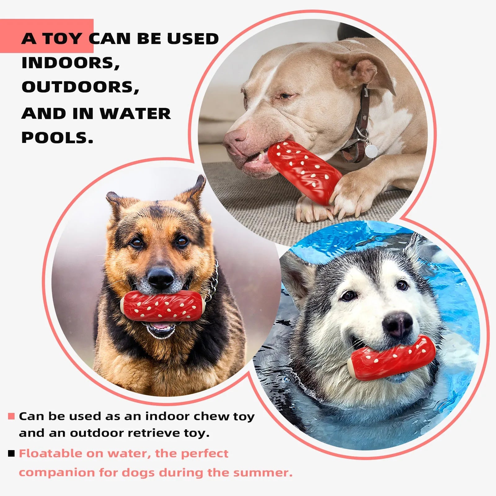 Primary colour plastic toothbrush-shaped dog chew toy for aggressive chewers