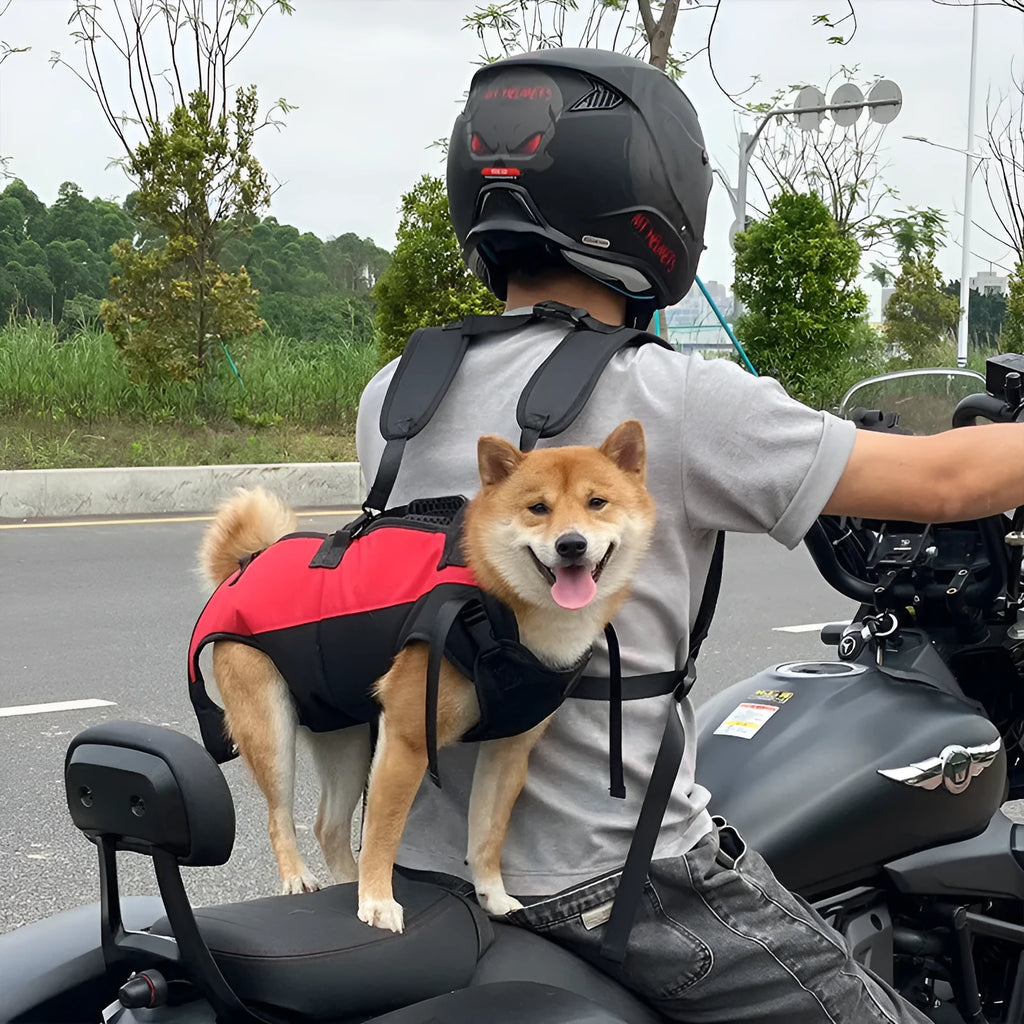 Multifunctional pet backpack that converts to stretcher in Oxford cloth with size options