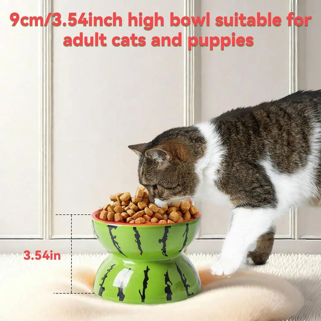 Orange ceramic raised cat bowl with tilted design and non-slip base.