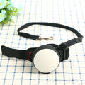 3 metre automatic retractable dog lead in six colour options with lockable brake