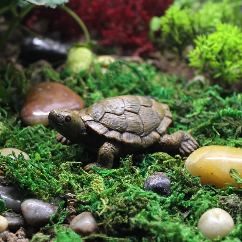 Resin turtle garden ornament for micro landscape decoration projects
