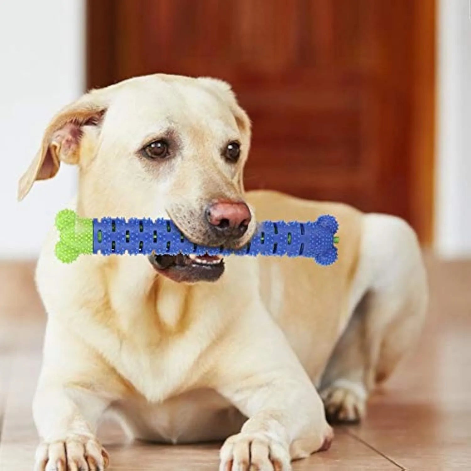 Blue green dog dental chew toy with serrated brush head design for tooth cleaning, 25cm length