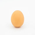 Egg-shaped dog squeaky toy for dental cleaning with sound mechanism