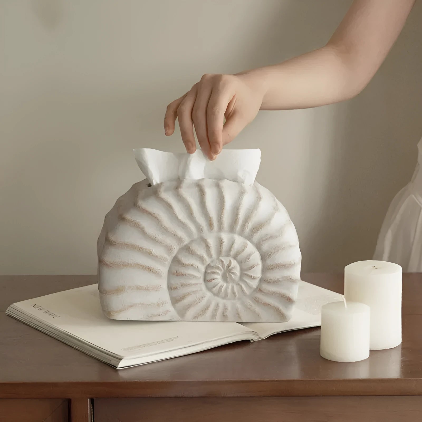 Resin tissue box decoration in conch ramble colour with modern minimalist seashell design