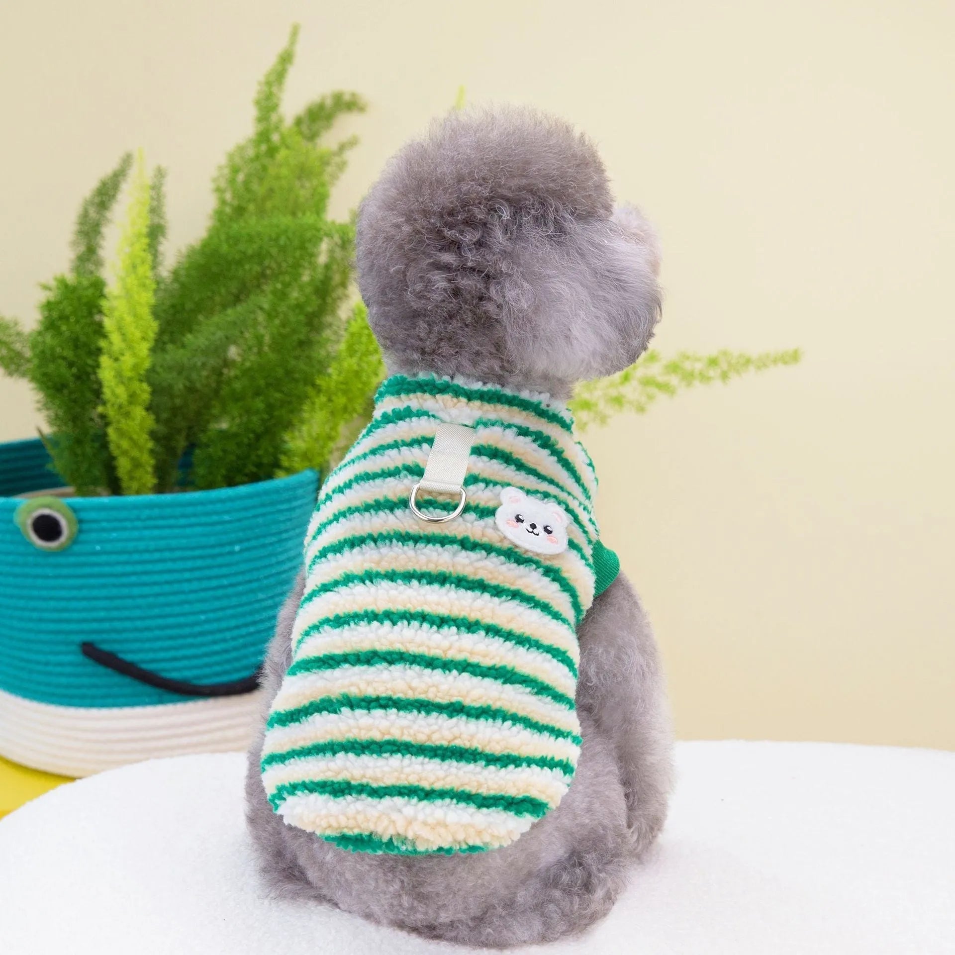 Thickened striped bear pet top in polar fluff, green colour, for dogs, casual style