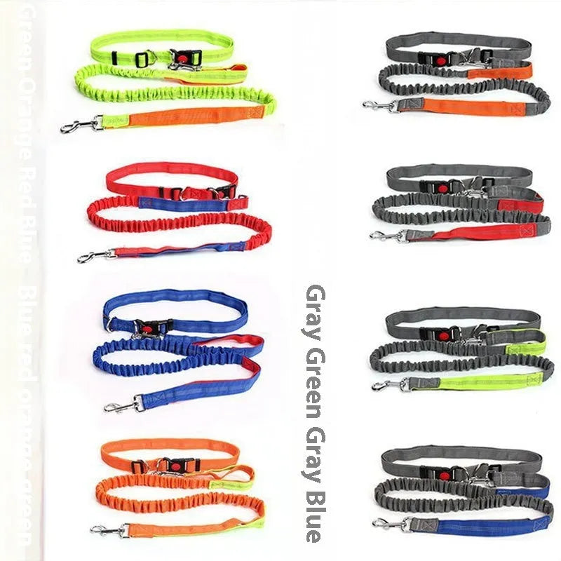 Grey and green two-tone reflective elastic dog leash held in a hand, showing its 2.5cm width.