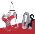 Adjustable mesh dog harness with metal back ring in blue, grey, red or yellow with matching leash